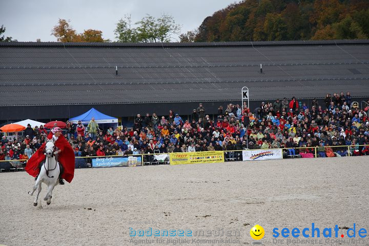 Hengstparade Marbach 2008