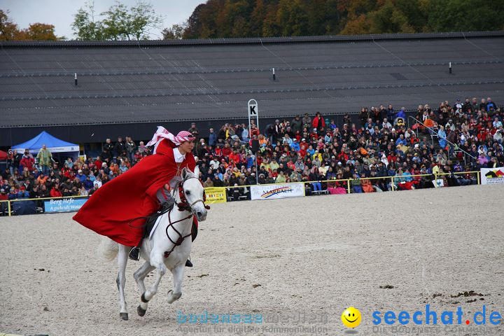 Hengstparade Marbach 2008