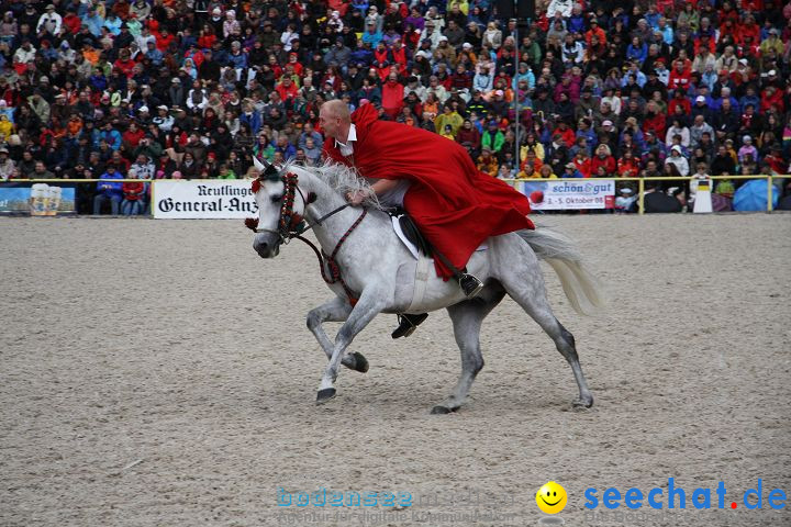 Hengstparade Marbach 2008