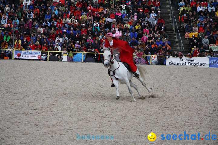 Hengstparade Marbach 2008