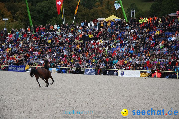 Hengstparade Marbach 2008