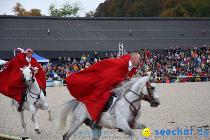 Hengstparade Marbach 2008