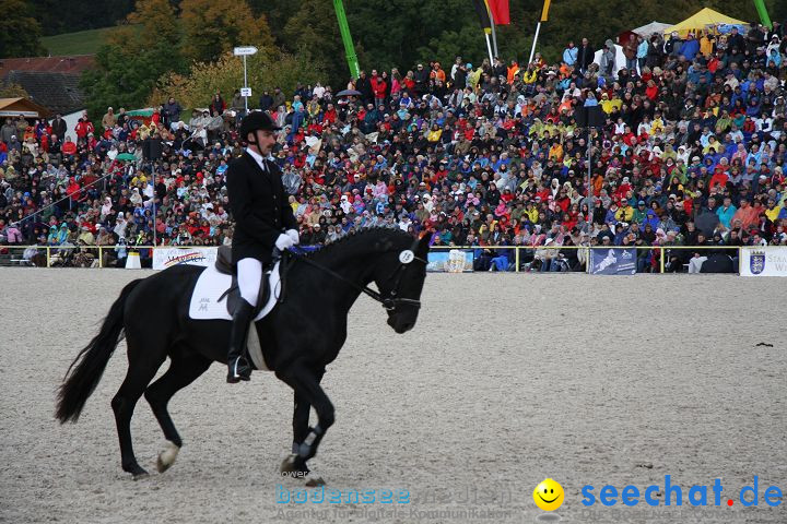 Hengstparade Marbach 2008