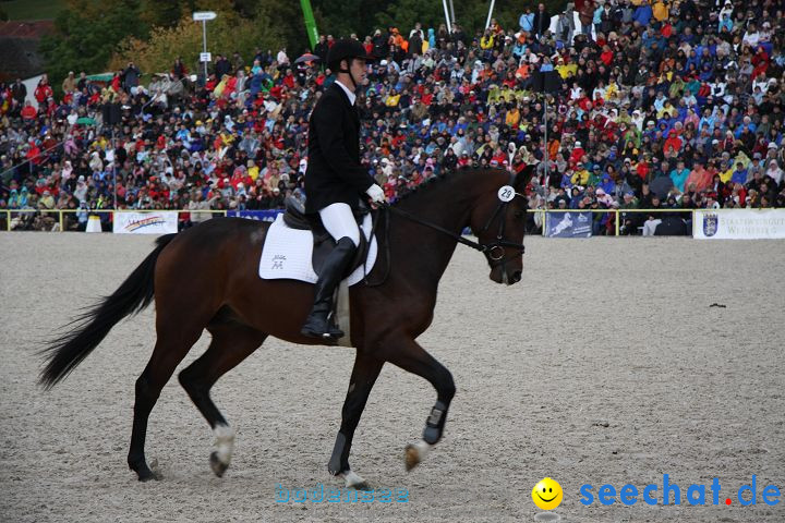 Hengstparade Marbach 2008