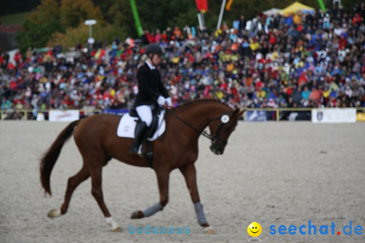 Hengstparade Marbach 2008