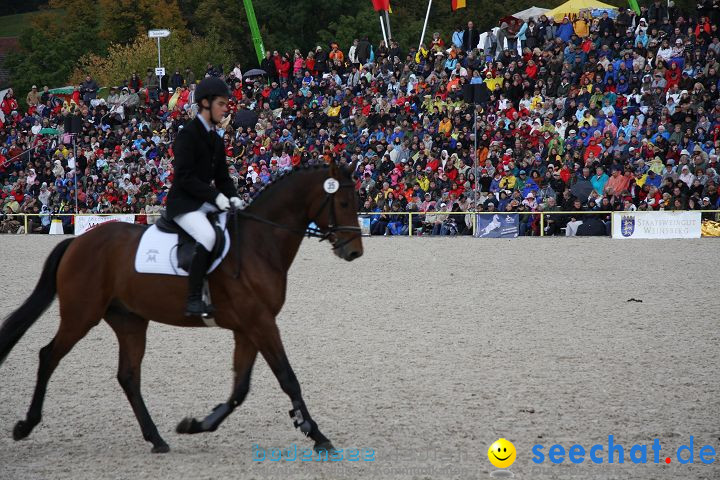 Hengstparade Marbach 2008