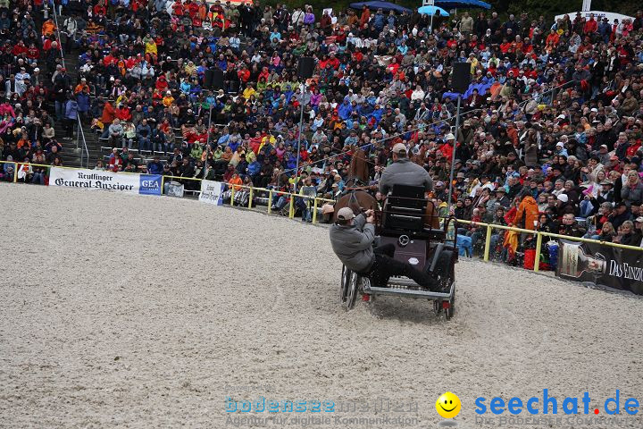 Hengstparade Marbach 2008