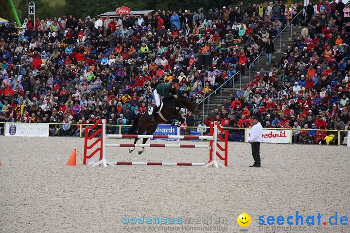 Hengstparade Marbach 2008