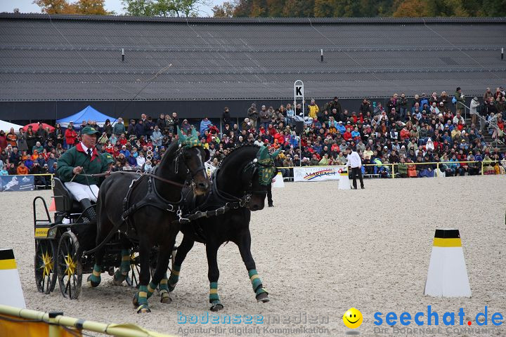 Hengstparade Marbach 2008