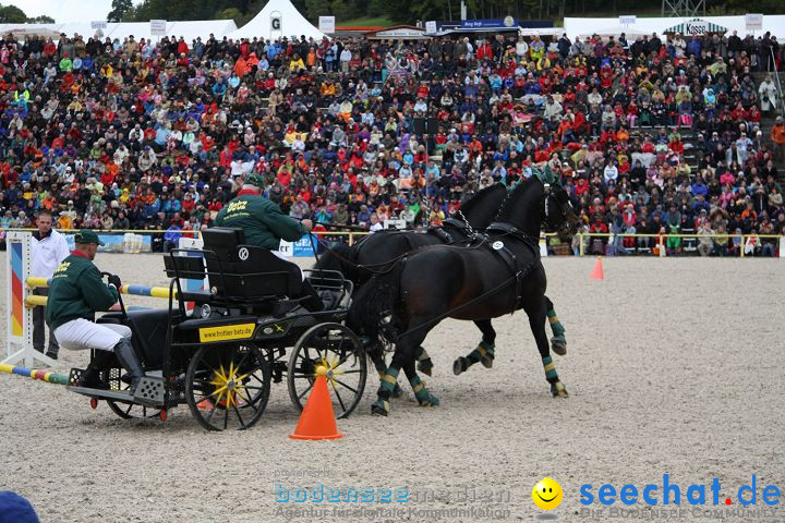 Hengstparade Marbach 2008