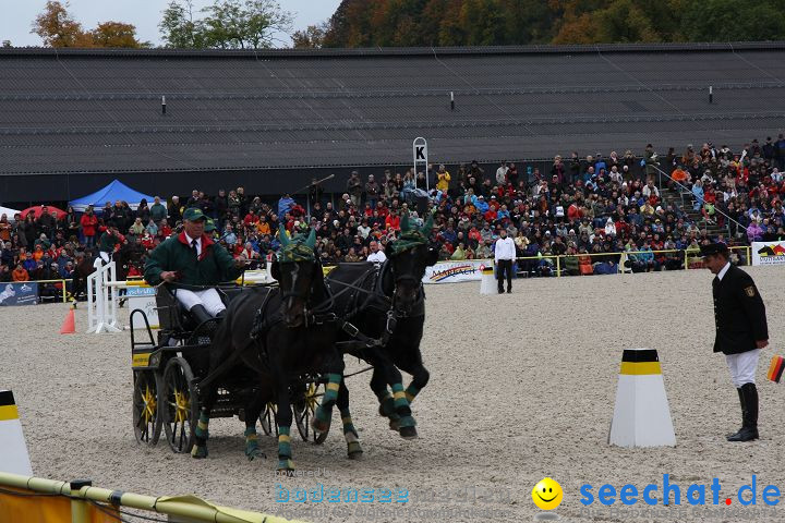 Hengstparade Marbach 2008