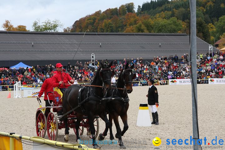 Hengstparade Marbach 2008