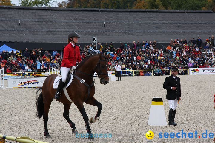 Hengstparade Marbach 2008