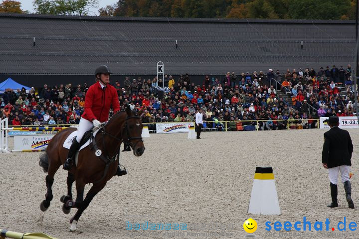 Hengstparade Marbach 2008