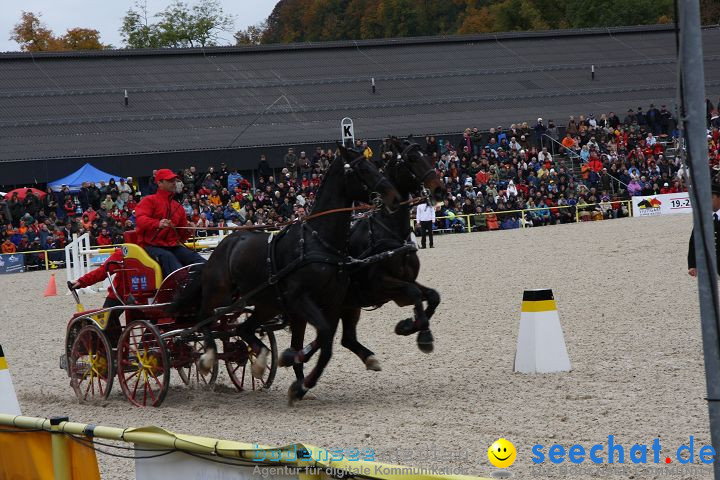 Hengstparade Marbach 2008