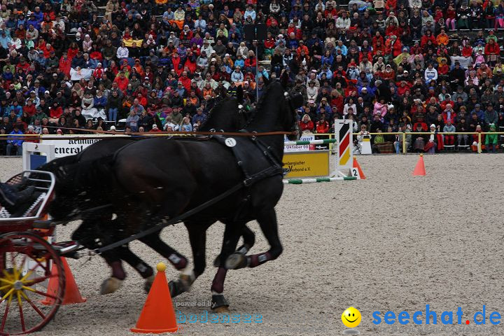 Hengstparade Marbach 2008