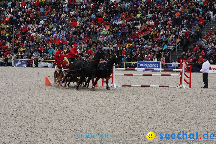 Hengstparade Marbach 2008