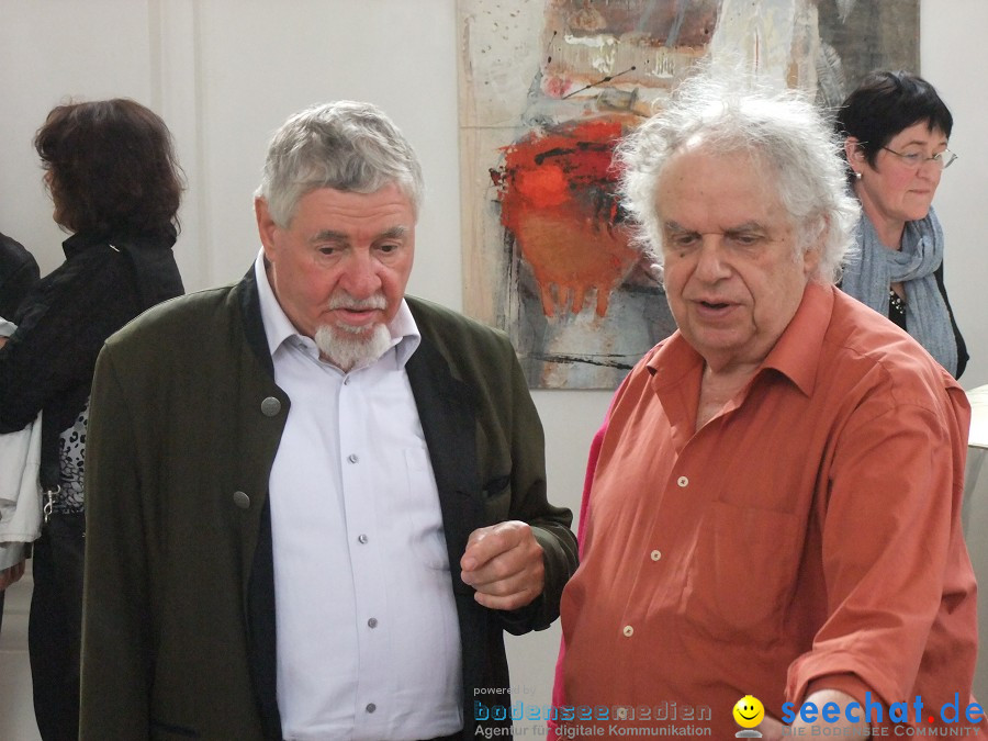 Vernissage von Haas und Waydelich: Schloss Mochental, 23.07.2011