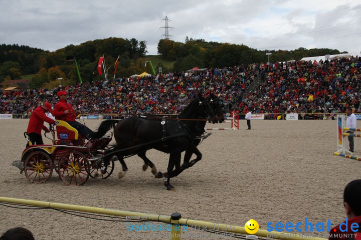 Hengstparade Marbach 2008