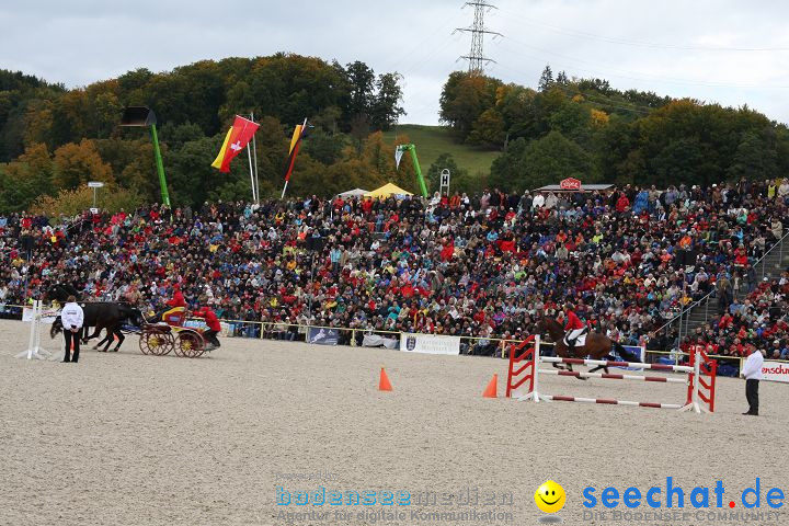 Hengstparade Marbach 2008