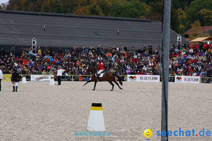 Hengstparade Marbach 2008