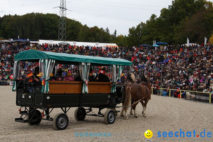 Hengstparade Marbach 2008