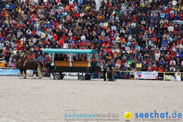 Hengstparade Marbach 2008