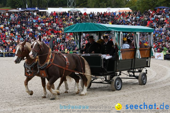 Hengstparade Marbach 2008