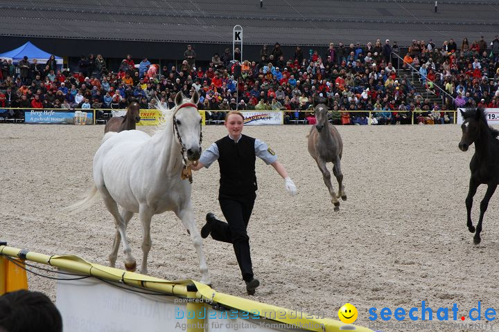 Hengstparade Marbach 2008