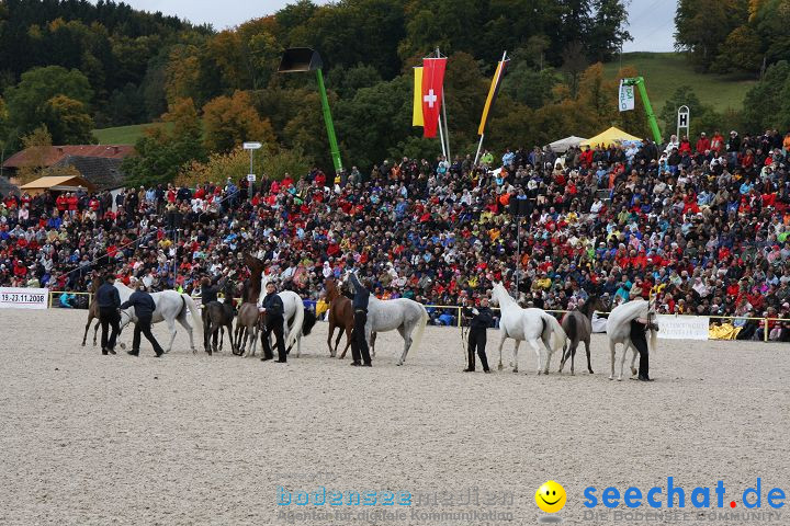 Hengstparade Marbach 2008