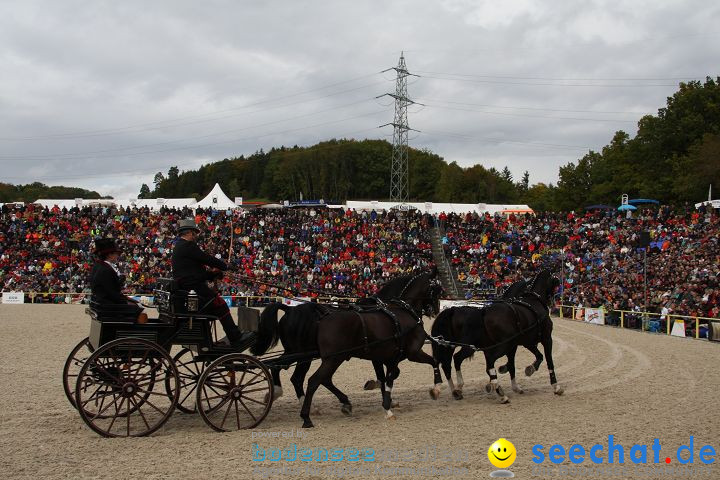 Hengstparade Marbach 2008