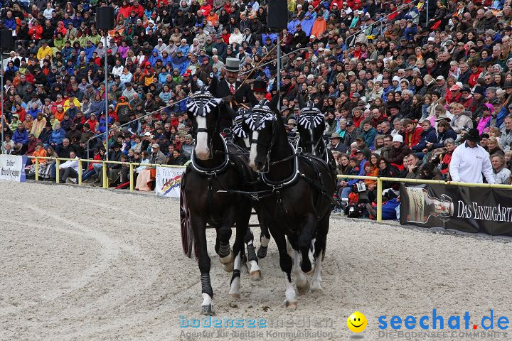 Hengstparade Marbach 2008