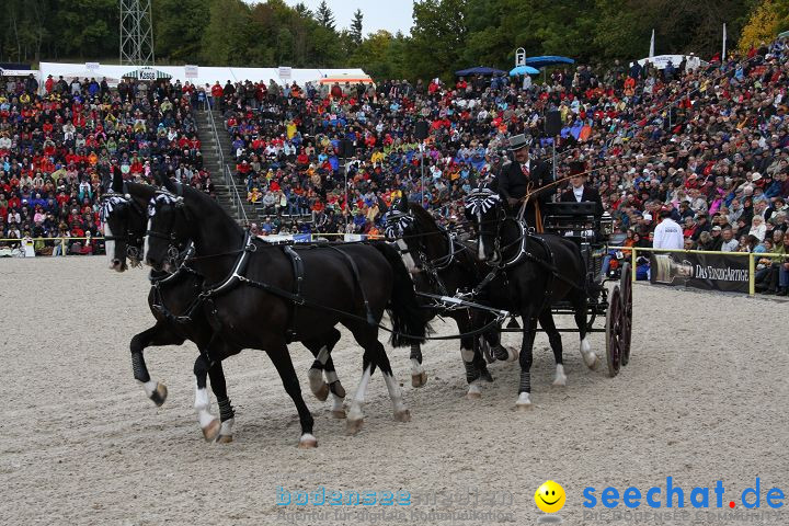 Hengstparade Marbach 2008