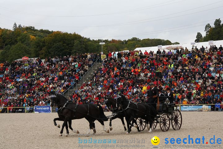 Hengstparade Marbach 2008