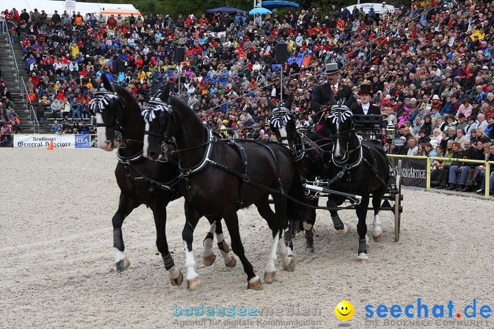 Hengstparade Marbach 2008