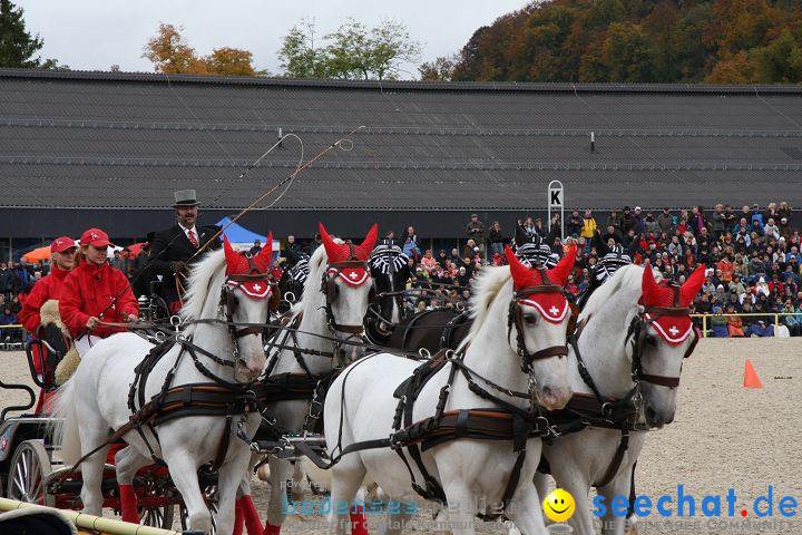 Hengstparade Marbach 2008