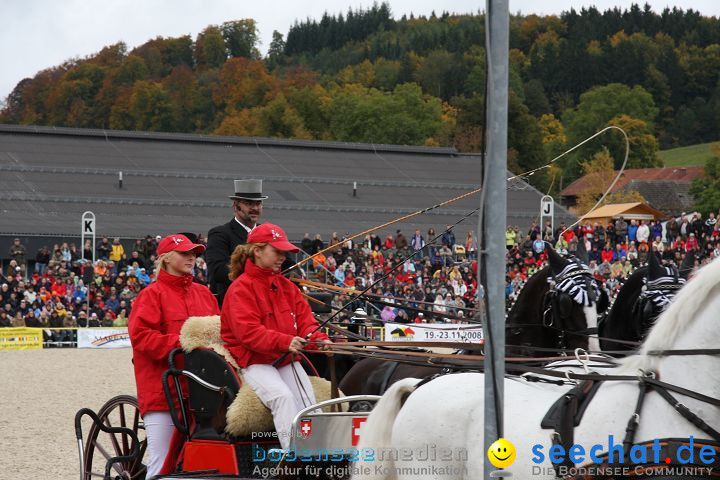 Hengstparade Marbach 2008