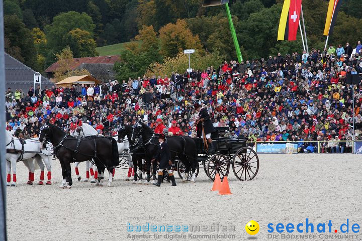 Hengstparade Marbach 2008