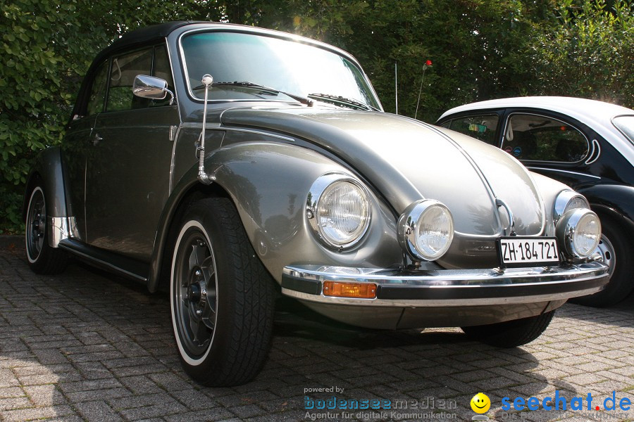 VW-Treffen: Volkertshausen am Bodensee, 30.07.2011