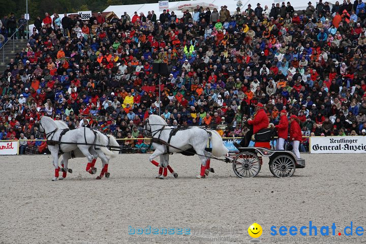 Hengstparade Marbach 2008