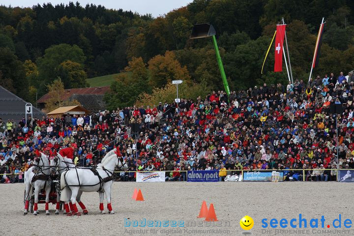 Hengstparade Marbach 2008