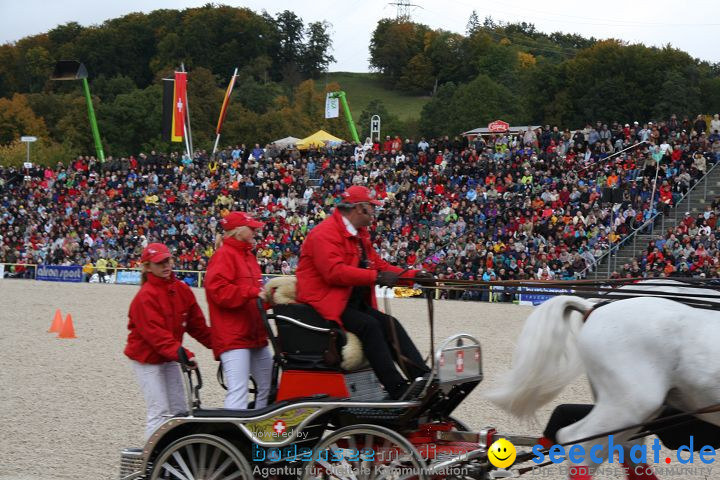 Hengstparade Marbach 2008