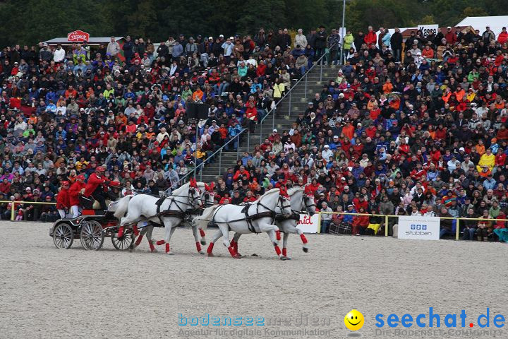 Hengstparade Marbach 2008