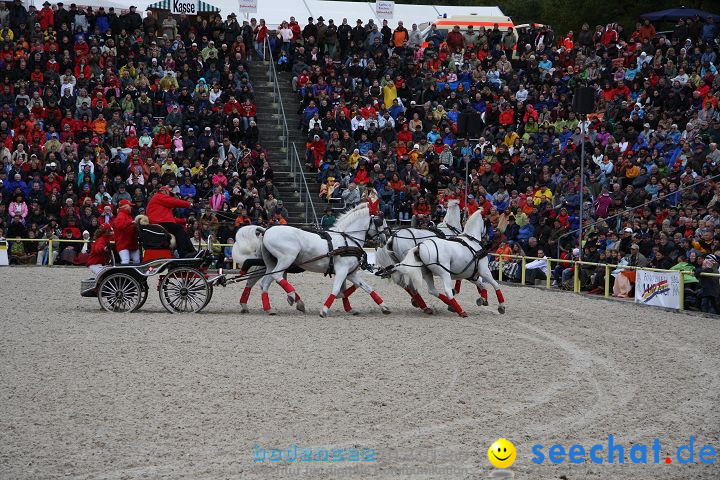 Hengstparade Marbach 2008