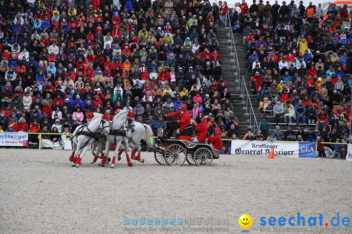 Hengstparade Marbach 2008