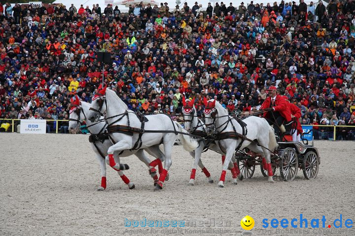 Hengstparade Marbach 2008