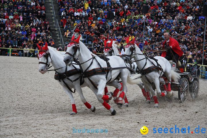 Hengstparade Marbach 2008