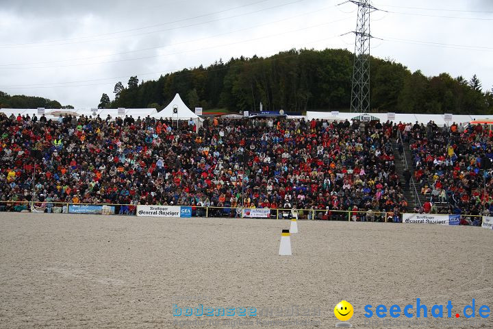 Hengstparade Marbach 2008