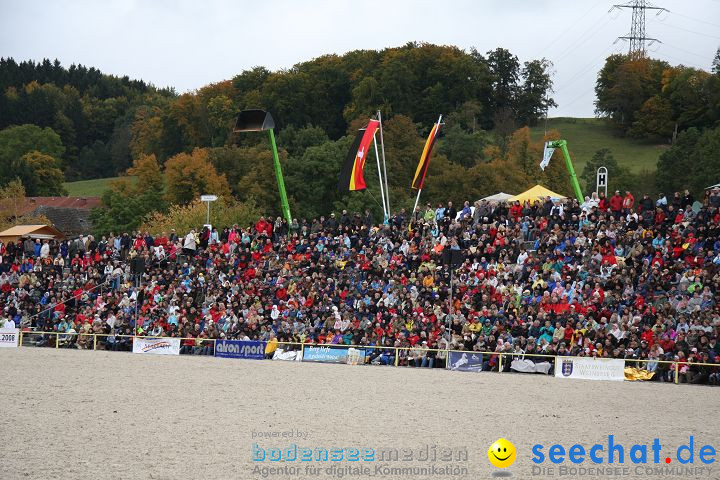 Hengstparade Marbach 2008