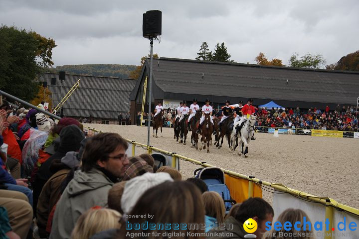 Hengstparade Marbach 2008